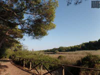 Dal villaggio Torreserena un breve sentiero recintato ci porta subito a ridosso della prima tappa: il Salinella, lago salmastro retrodunale posizionato a pochi metri dal litorale
